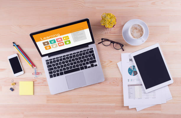 Multimedia E-learning Designer (Specialized Role)