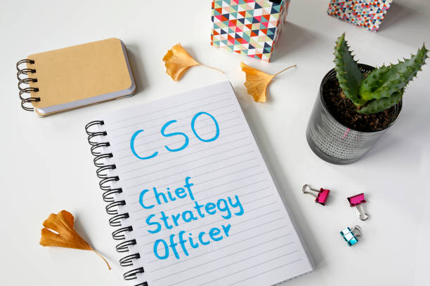 Chief Strategy Officer (CSO)