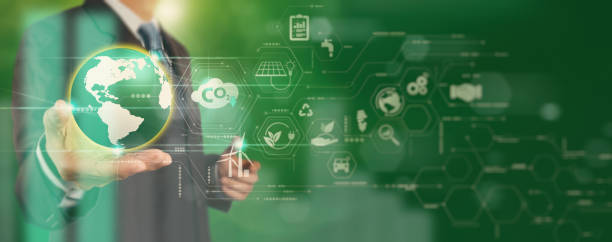 Sustainability Strategy Consultant