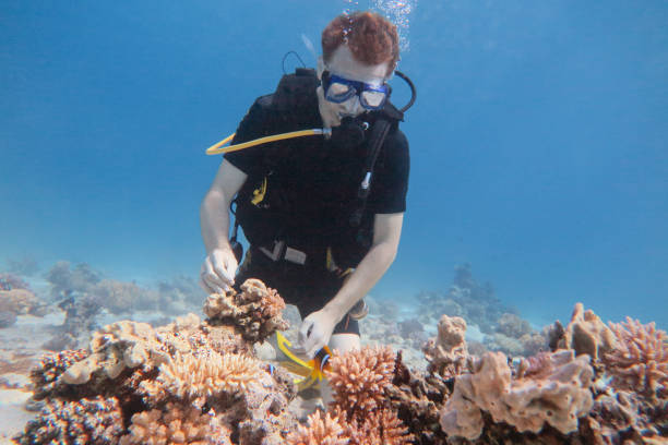 Marine Research Assistant