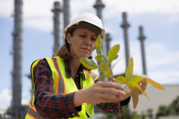 Senior Restoration Specialist