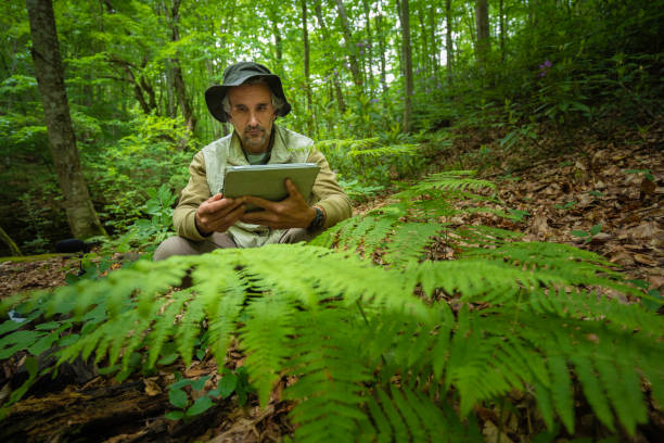 Senior Ecosystem Analyst