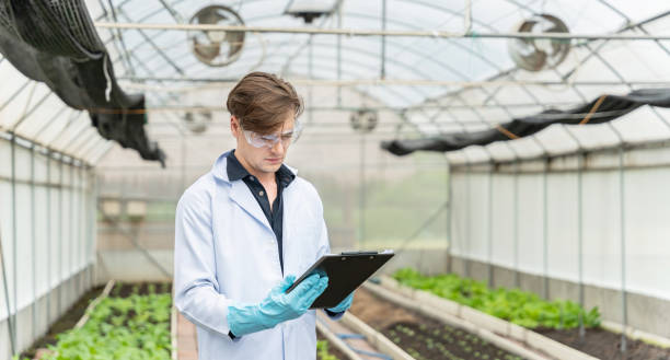 Agricultural Development Consultant