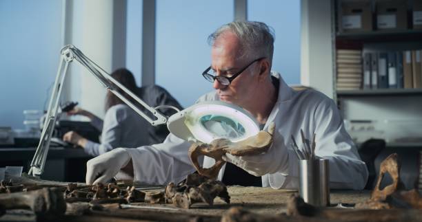 Paleontology Principal Investigator