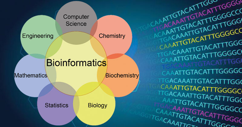 Bioinformatics