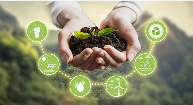 Sustainability Management