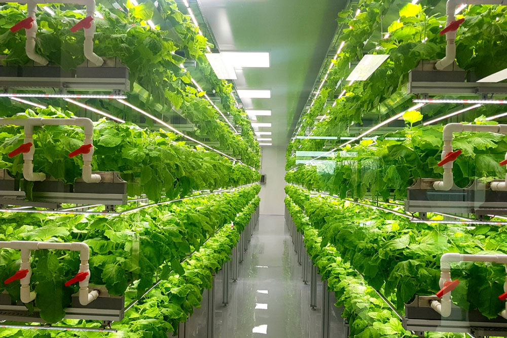 B.Voc in Agriculture & Food Technology