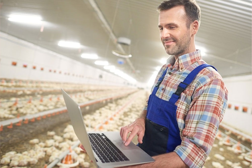 Certificate in Dairy and Poultry Management