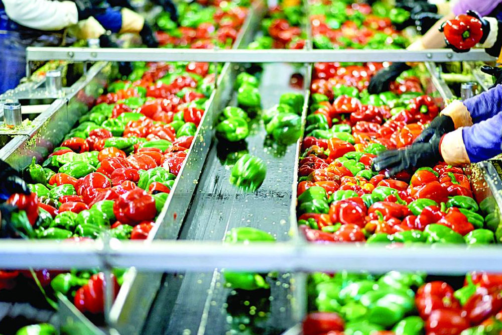 B.Voc in Food Processing