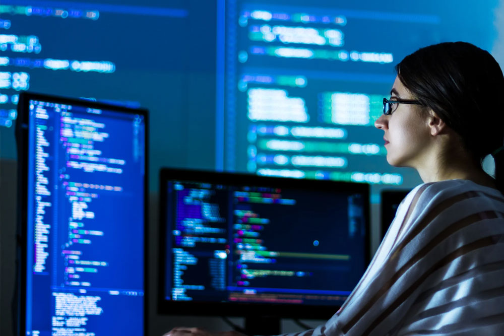 B.Voc in Software Development  IT