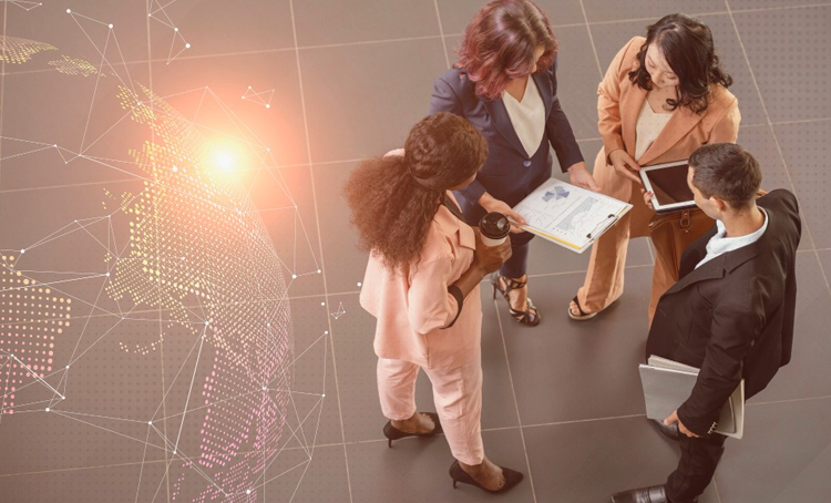 Networking & Professional Relationship Building