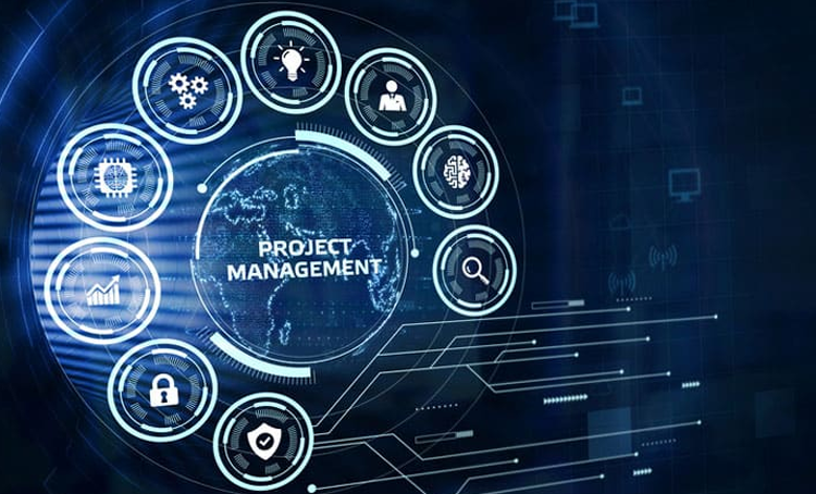 Project Management Basics