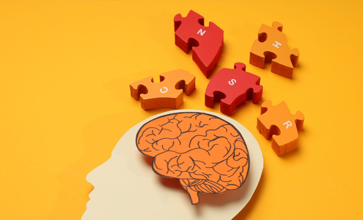 Study Techniques & Memory Mastery